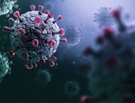 novo coronavirus