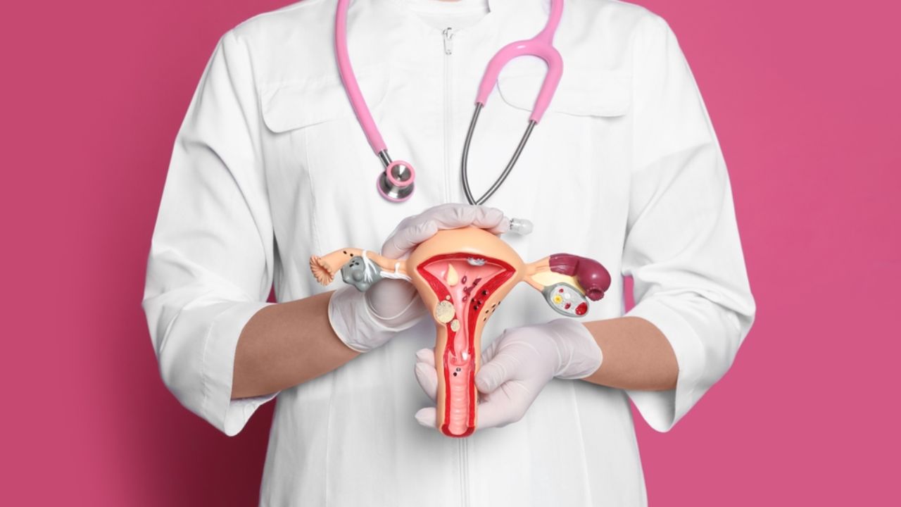 médica que cuida da endometriose intestinal mostrando o aparelho reprodutor feminino