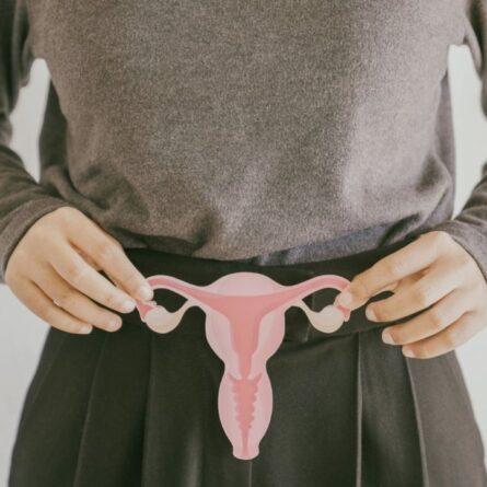 Mãos segurando figura de útero, sistema reprodutivo feminino