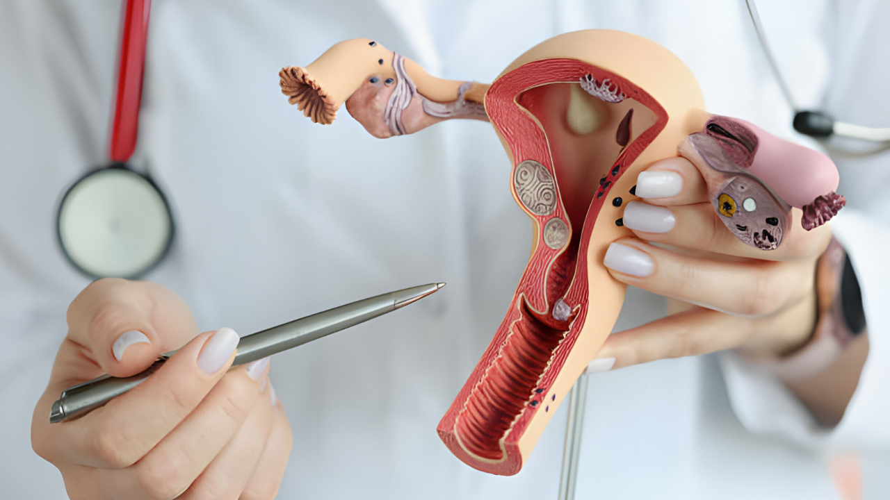 Uma profissional da ginecologia orientando paciente sobre a funcionalidade uterina.