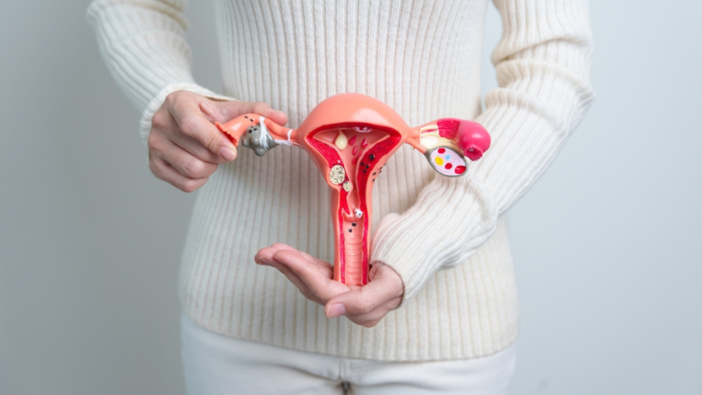 Uma mulher segurando um modelo de útero em resina /o que o ginecologista faz na primeira consulta