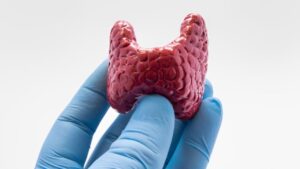 Imagem de estrutura de tireoide nas mãos de médico