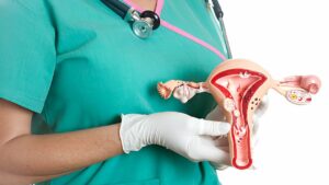 Zoom em mãos de cirurgiã segurando estrutura de útero