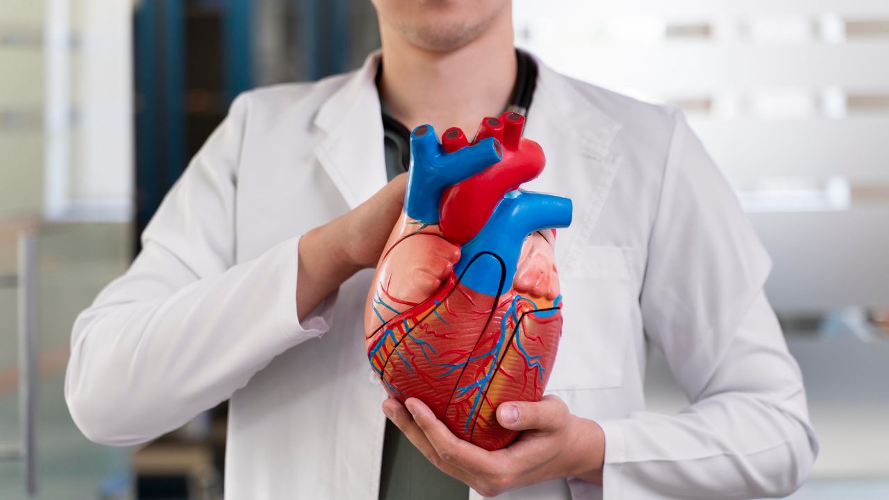 Tipos de ponte de safena Tipos de ponte de safena