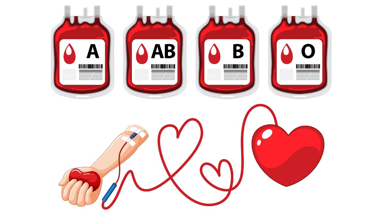 Mitos sobre tipo sanguíneo Mitos sobre tipo sanguíneo